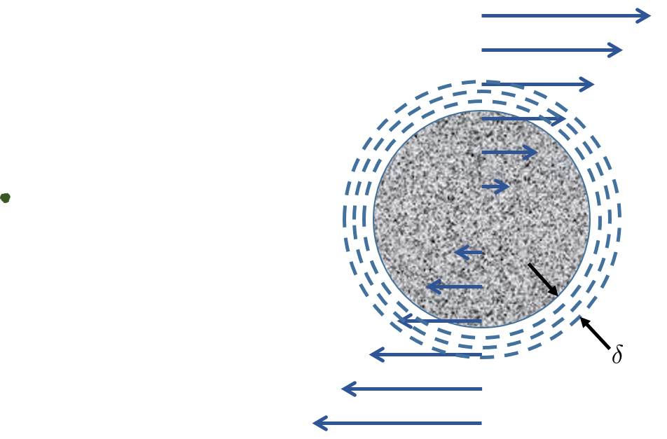 No collisions between different sized particles